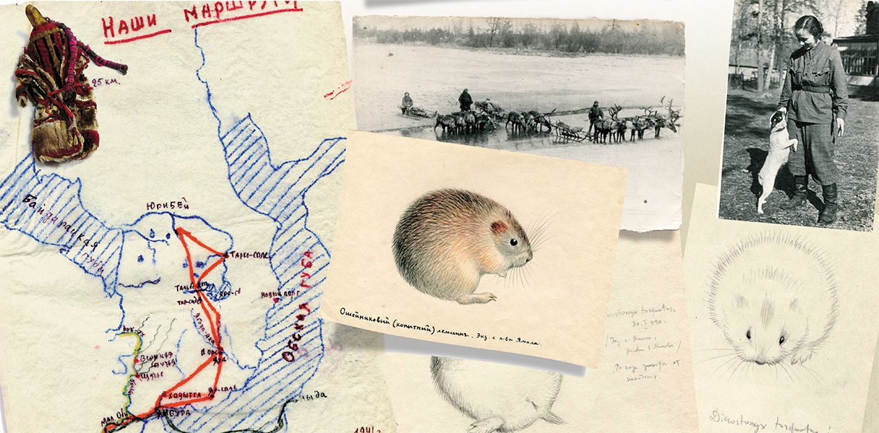 "On a Bright and Sunny Night…" On the Life of Two Women Zoologists from Moscow  in the Yamal Tundra during the Second World War