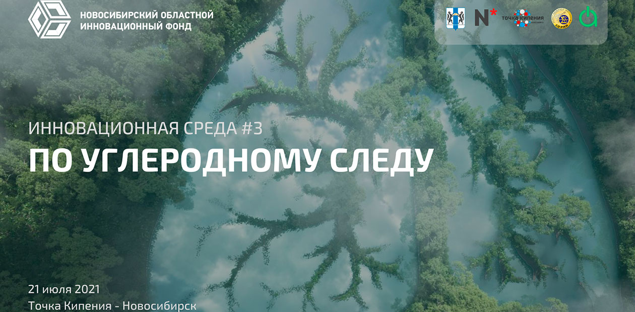 Можно ли зарабатывать миллиарды на проектах по поглощению парниковых газов?