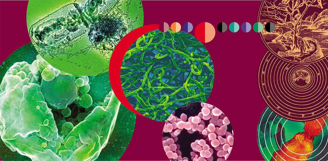 The Planet’s Long Youth # Origin and Evolution of Life on Earth: The Beginning