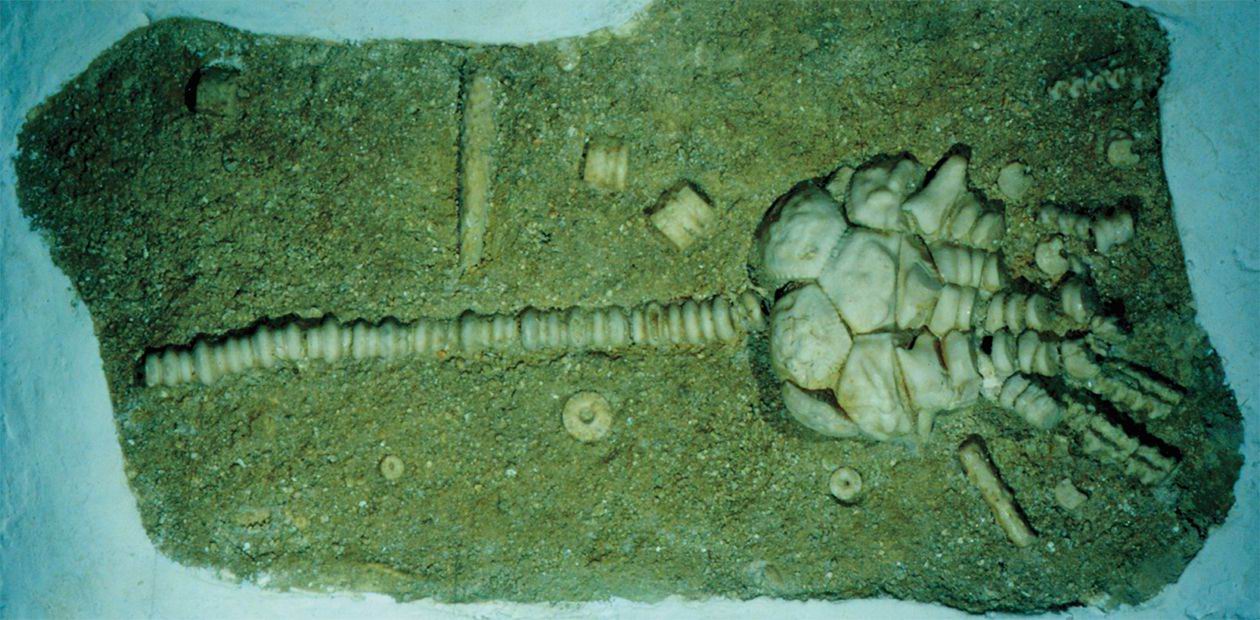 Содержание