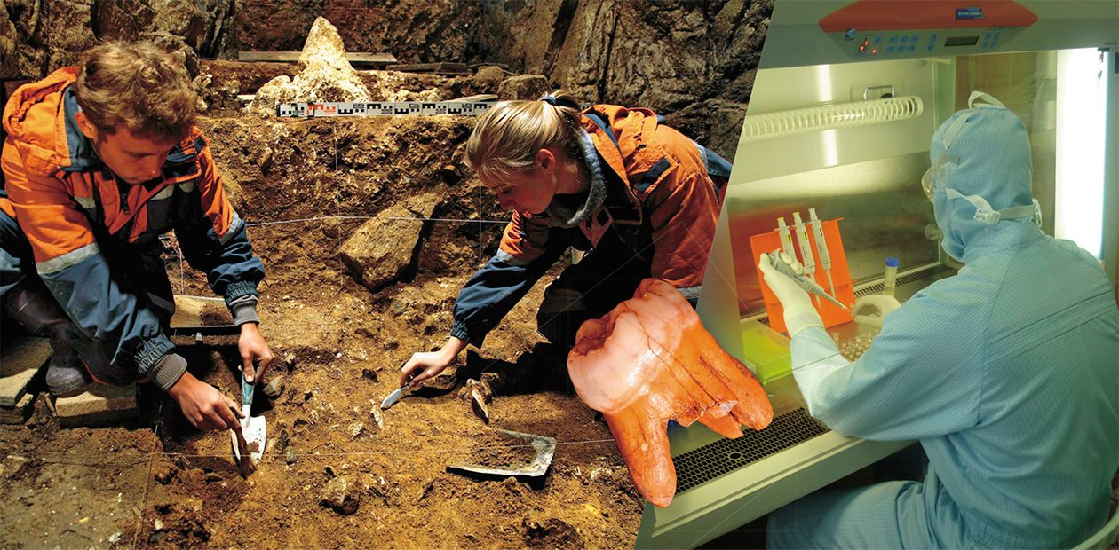 Ancient DNA Has Revealed Its Secret
