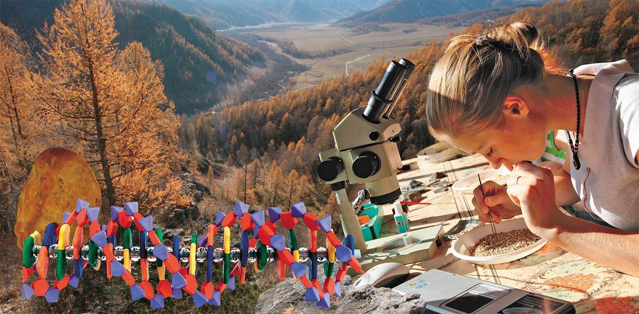 На оси времени. # По следам международного симпозиума «Мультидисциплинарные методы в археологии: новейшие итоги и перспективы»