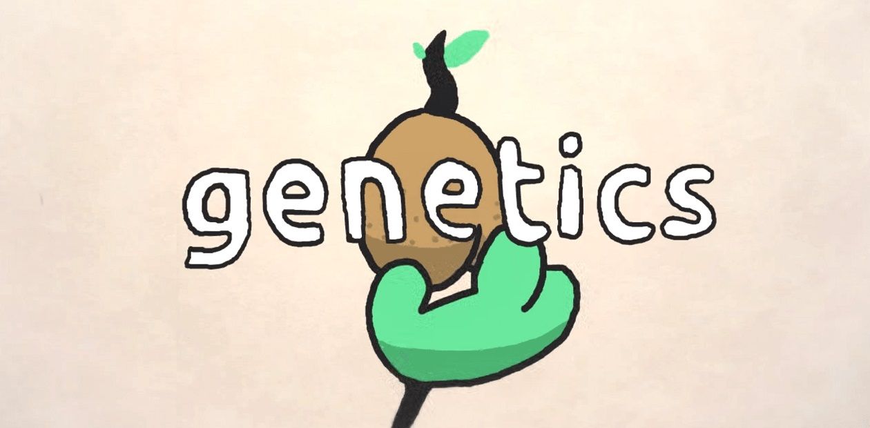 Nauchka: The Anguish and Joy of Scientists' Work: 02. Genetics