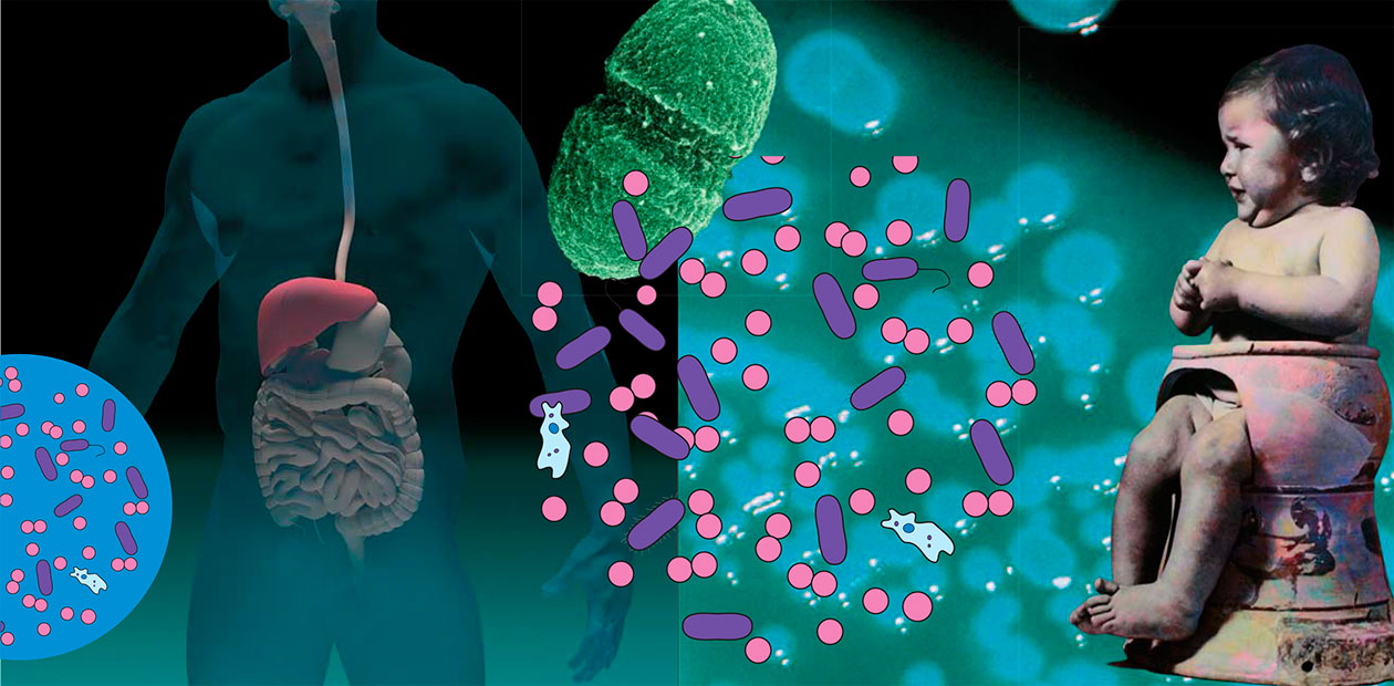Как управлять микробами, когда они управляют нами # Фекотрансплантация как способ терапии 