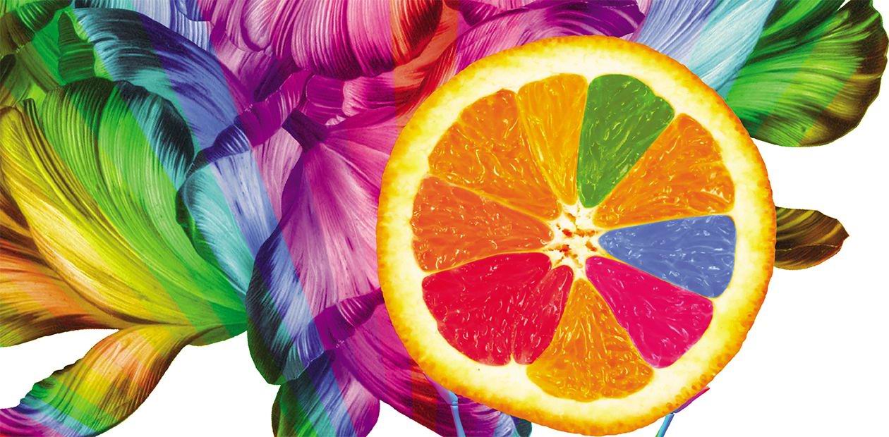 GMO and other genetic secrets of plant selection