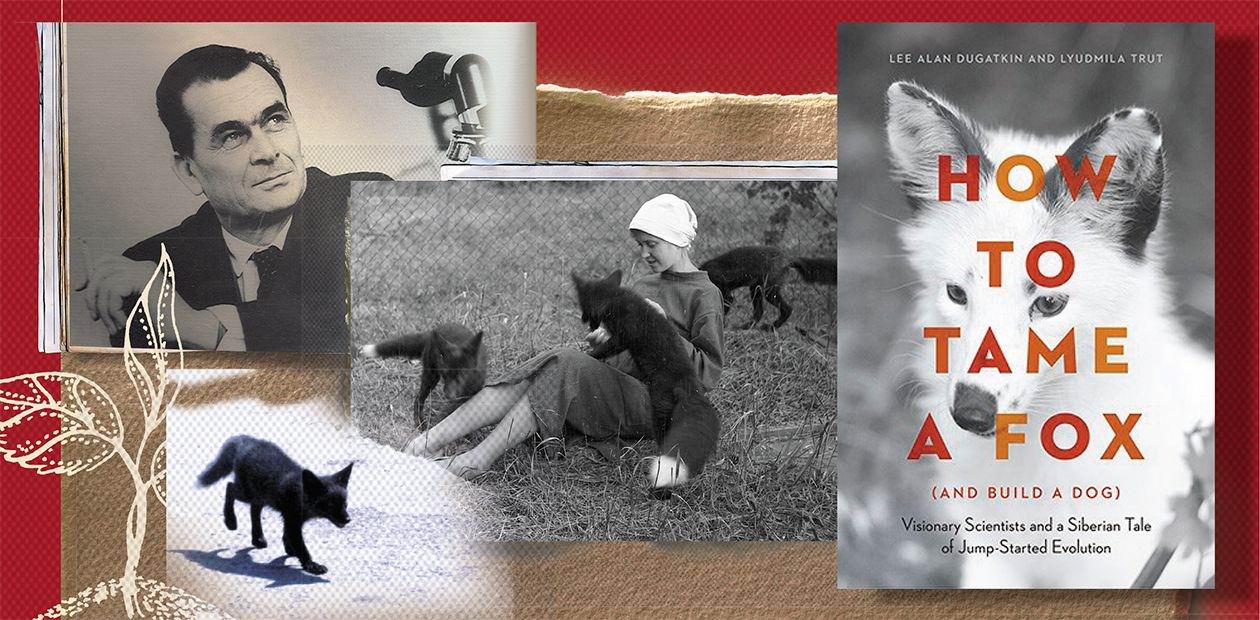 «Как приручить лису» – в 2018 г. стала лучшей книгой о науке для молодежи по версии издателя журнала SCIENCE