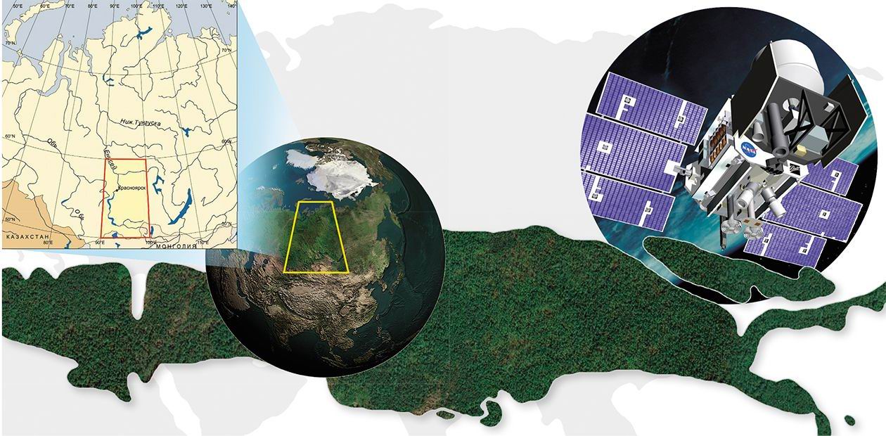 Taiga under Lidar's Survey