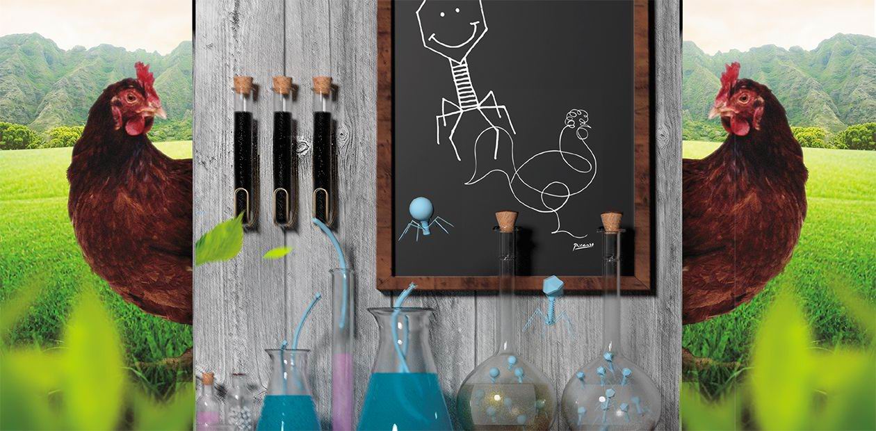 A Nanoversion of Dr. Doolittle. Bacteriophages as an Alternative to Antibiotics in Veterinary