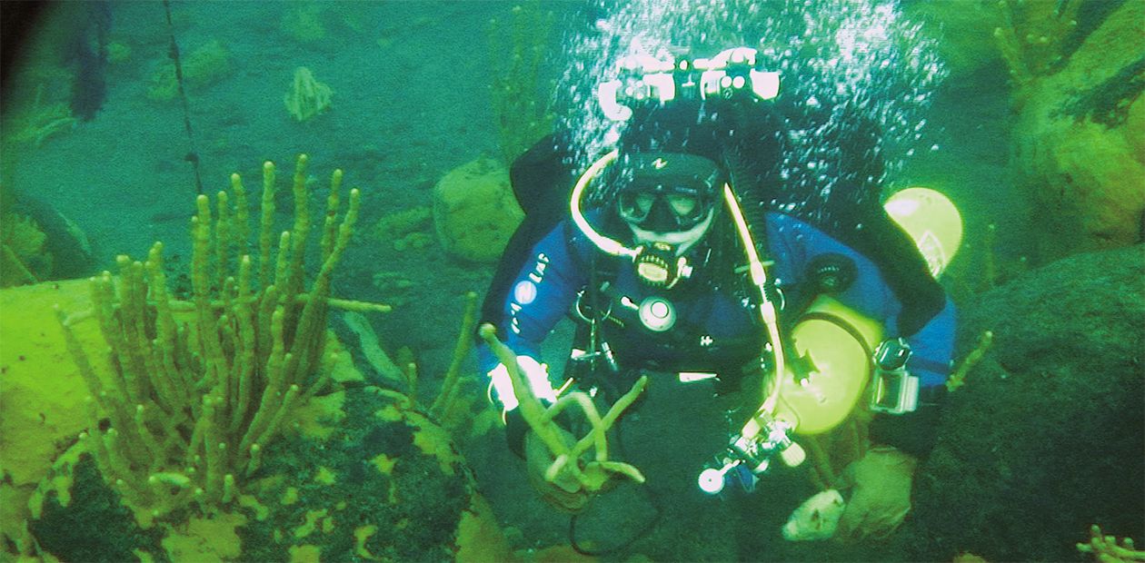 What Has Happened to Lake Baikal Sponges?