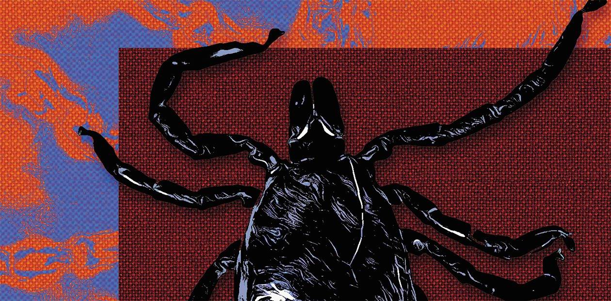 Хронический клещевой боррелиоз: несуществующая болезнь или неверный диагноз?