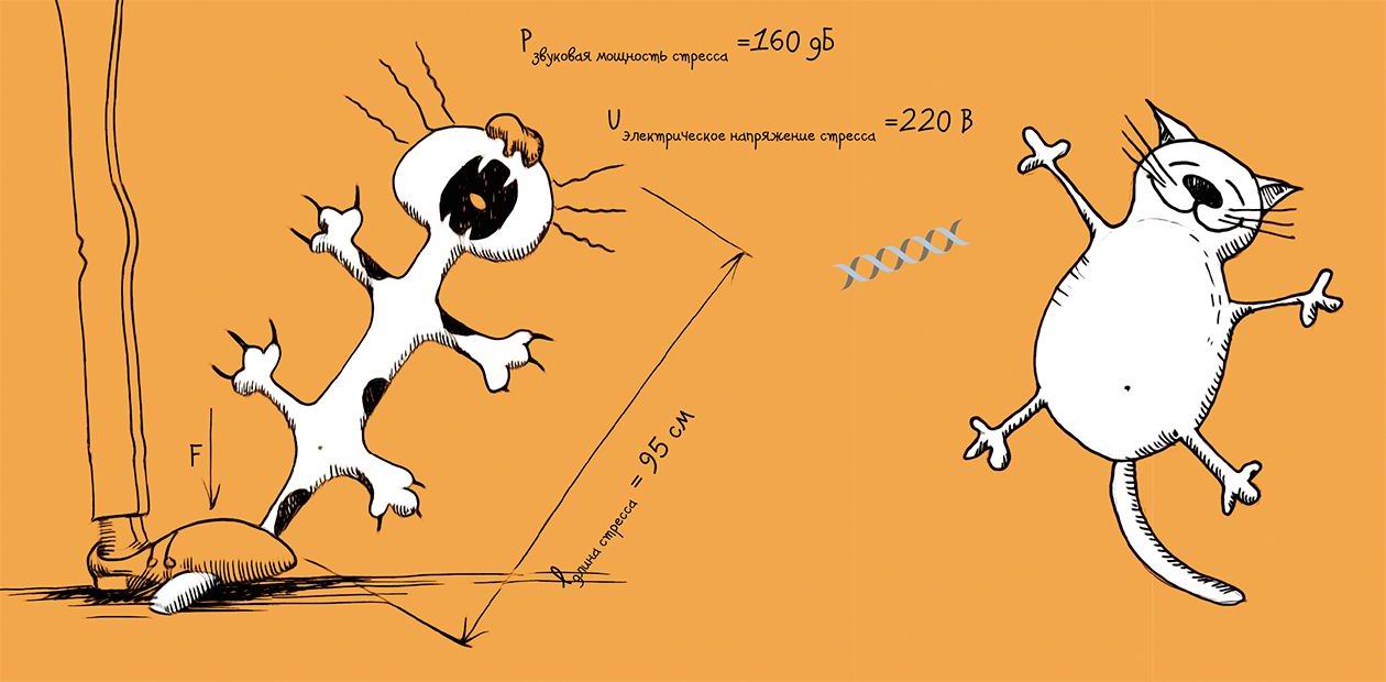 Как измерить стресс и для чего это нужно