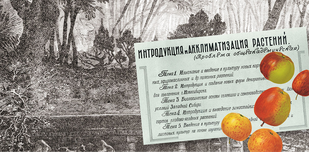 Интродукция растений – академическая «золушка»?