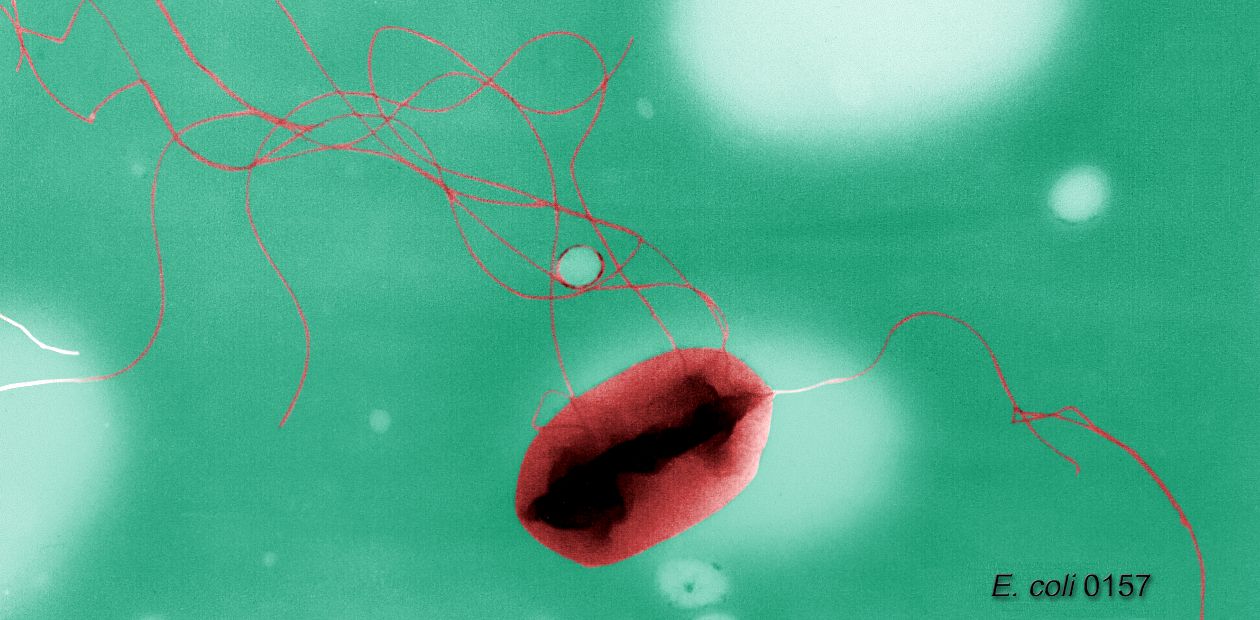 Бледные губы, покрасневшие глаза, отеки – надпись «инфекция» на нашем лице 