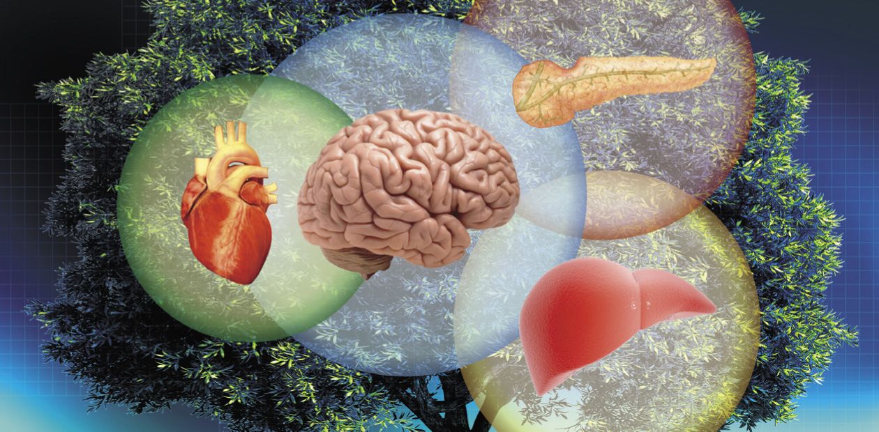 Regenerative Medicine: Searching for "Elixir оf Life"