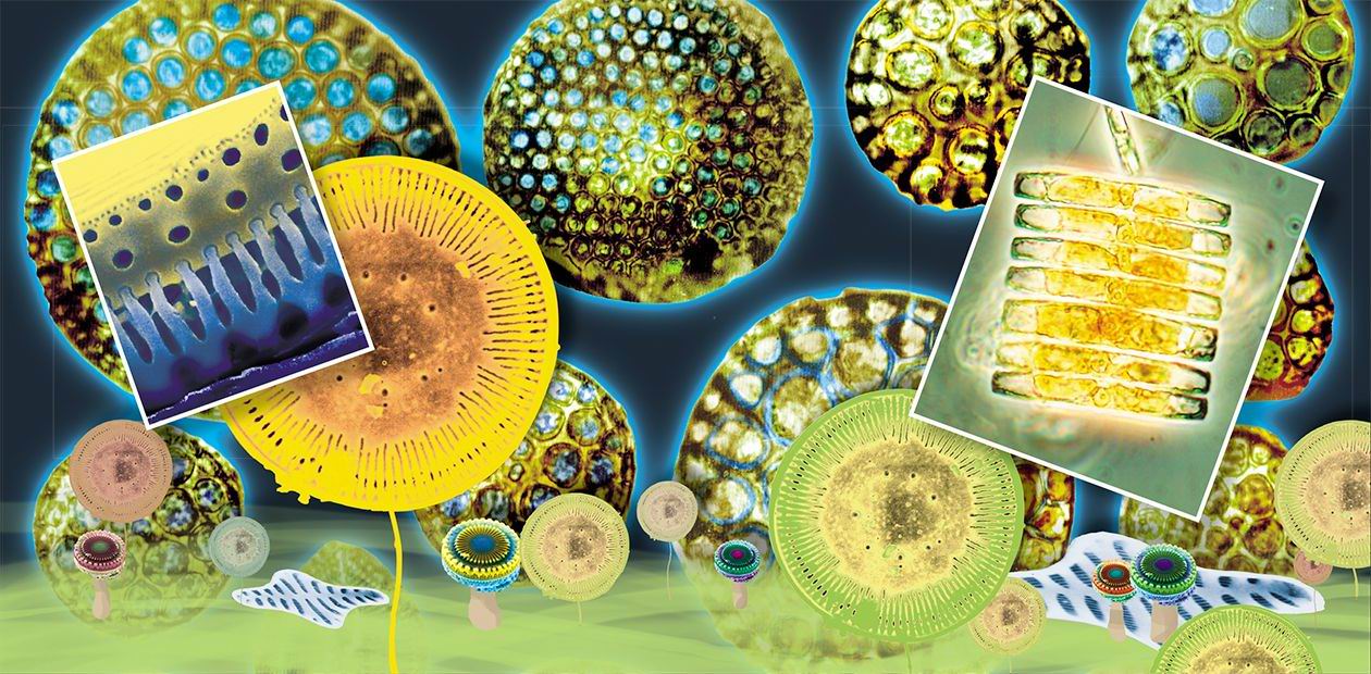 The Planet Chronicles by Diatoms