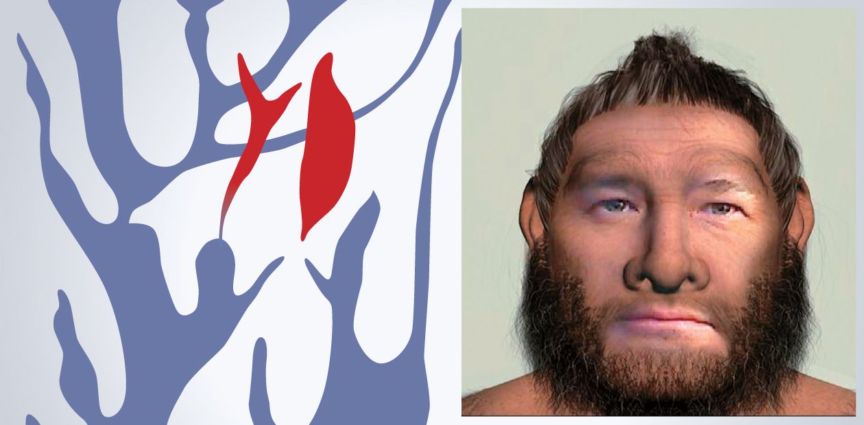 Ancient DNA: From a Neanderthal to Sausage