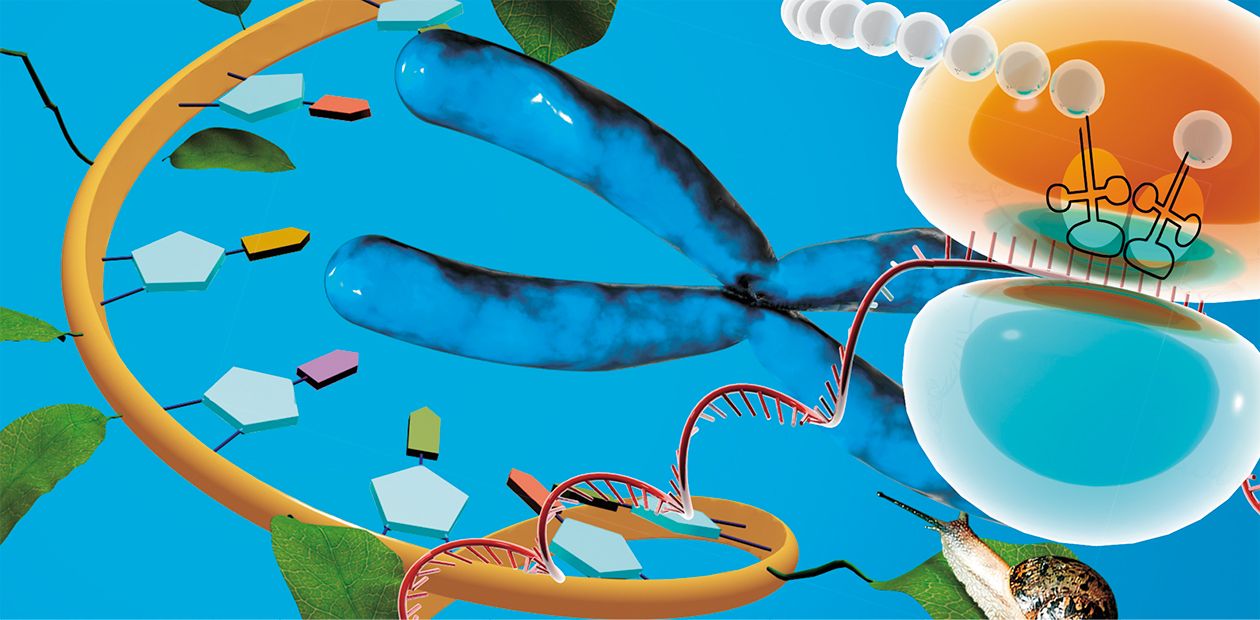 RNA World: Yesterday and Now