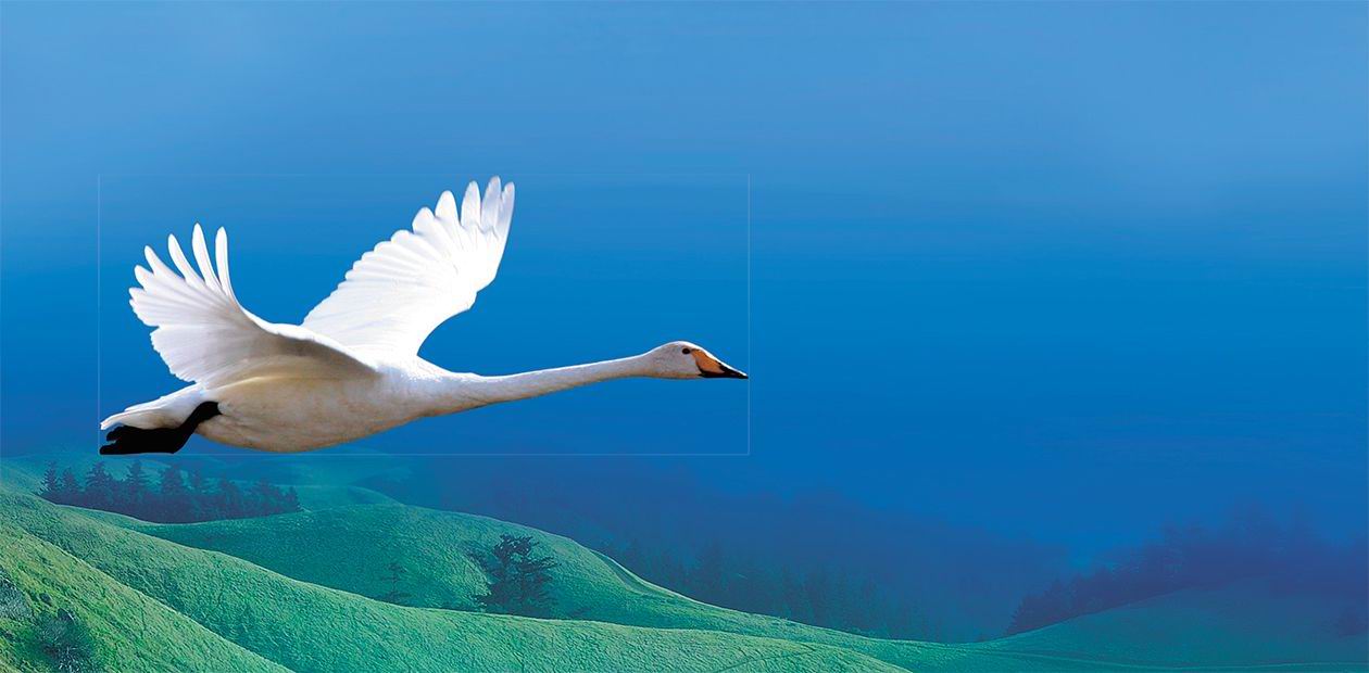 One Flew East, One Flew West...