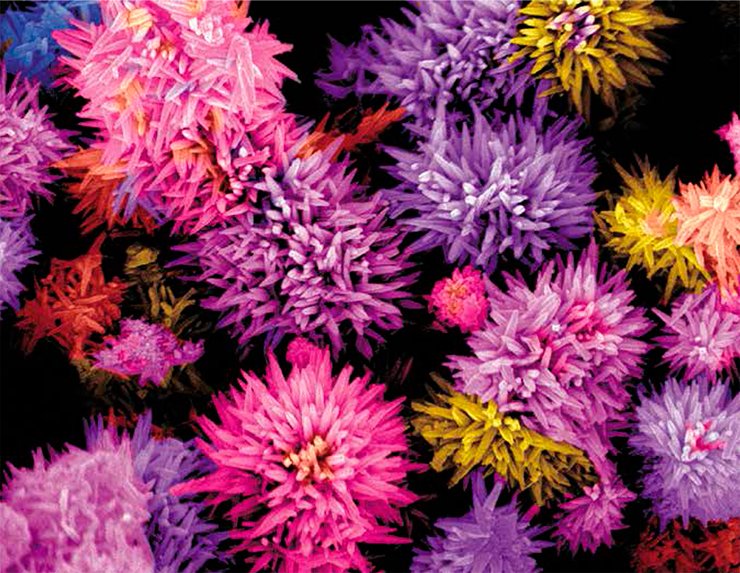Image courtesy of the Materials Research Society (www.mrs.org) Science as Art Competition (spring 2013) and Mulmudi Hemant Kumar, Nanyang Technological University, USA Image courtesy of the Materials Research Society (www.mrs.org) Science as Art Competition (spring 2013) and Mulmudi Hemant Kumar, Nanyang Technological University, USA