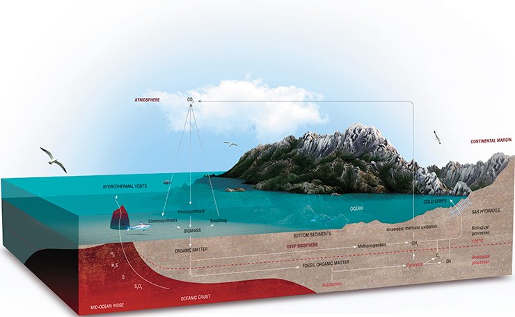 The deepwater biosphere, the upper boundary of which lies at a depth of one meter below the sea floor surface, vies for its extent and volume only with the World Ocean, though the living conditions get tougher as the depth increases. The microscopic dwellers of the underground abyss draw energy and matter from mature organics and hot streams of gas-saturated fluids of the deep layers of the lithosphere. From: (Bell, Heuer, 2012)
