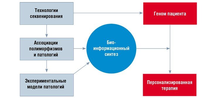 Базовый методологический принцип в достижении идеала, провозглашенного Гиппократом, – «лечить не болезнь, а больного», заключается в интеграции на основе системной биологии геномных технологий, геномики и экспериментального изучения генетически детерминированных патологий человека