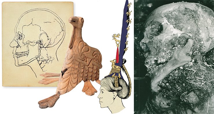 The intricate headgear-wig of the woman from kurgan 1 of the grave ground Ak-Alakha 3 is decorated with a depiction of a deer with bent legs, made of cedar; the deer’s inserted horns are made of leather. The entire artifact was covered with gold-foil. On the right is an anthropological reconstruction of the woman’s face and her headgear-wig. Made by D. Pozdniakov. The skull of the woman’s mummy lying in the burial block shows traces of the facial skin and stuffing in the neck area. Photo by V. Mylnikov 