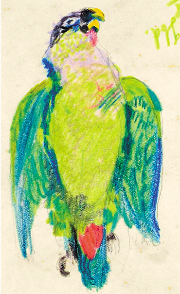 “Parrot.” Colored pencil. 1914. Drawing by G.G. Manizer. SPBB ARAS. F. 985. Op. 1. D. 40. L. 1 “Parrot.” Colored pencil. 1914. Drawing by G.G. Manizer. SPBB ARAS. F. 985. Op. 1. D. 40. L. 1