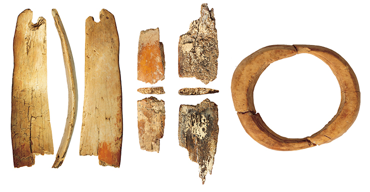 Decorations of mammoth tusk dating to the Early Upper Paleolithic: fragments of a diadem (left) and a ring (right). 11 th layer, South gallery, Denisova Cave. Photographed by A. Fedorchenko Decorations of mammoth tusk dating to the Early Upper Paleolithic: fragments of a diadem (left) and a ring (right). 11 th layer, South gallery, Denisova Cave. Photographed by A. Fedorchenko