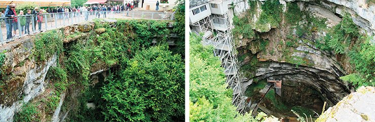 На стенах карстового колодца благоухает жизнь. (Фото: автора) На стенах карстового колодца благоухает жизнь. (Фото: автора)
