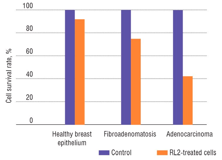 RL2 protein, a genetically engineered analog of lactaptin, has almost no cytotoxic effect on the healthy cells of breast epithelium but initiates apoptosis of the damaged cells once a pathological process develops. In the case of benign fibroadenomatosis, this protein considerably decreases the survival rate of pathological cells and halves the survival rate of cancer cells in adenocarcinoma, a malignant tumor RL2 protein, a genetically engineered analog of lactaptin, has almost no cytotoxic effect on the healthy cells of breast epithelium but initiates apoptosis of the damaged cells once a pathological process develops. In the case of benign fibroadenomatosis, this protein considerably decreases the survival rate of pathological cells and halves the survival rate of cancer cells in adenocarcinoma, a malignant tumor