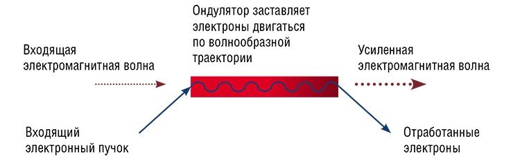 Принципиальная схема устройства лазера на свободных электронах (ЛСЭ)