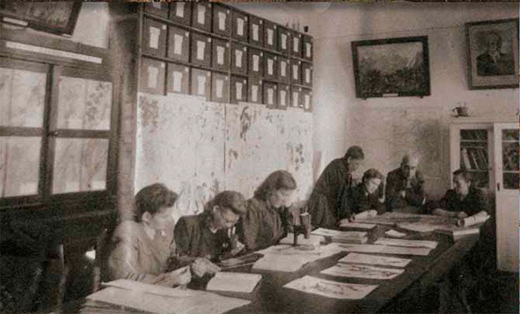 Первые сотрудники Медико-биологического отдела Западно-сибирского филиала Академии наук, занимающиеся изучением флоры и растительности с первым руководителем гербария Е. Ф. Пеньковской (вторая слева) 