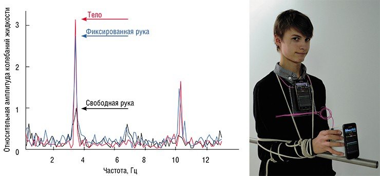 Экспериментальные исследования показали, что шансы расплескать кофе в случае, когда рука ходока жестко закреплена на теле, гораздо выше, чем в случае свободной руки. Слева – Фурье-спектр продольной амплитуды ускорения тела и чашки, которую держит свободная и закрепленная рука. Один из авторов опытным путем проверяет, насколько сильнее плещется жидкость в чашке, если держать ее рукой, крепко привязанной к туловищу Экспериментальные исследования показали, что шансы расплескать кофе в случае, когда рука ходока жестко закреплена на теле, гораздо выше, чем в случае свободной руки. Слева – Фурье-спектр продольной амплитуды ускорения тела и чашки, которую держит свободная и закрепленная рука. Один из авторов опытным путем проверяет, насколько сильнее плещется жидкость в чашке, если держать ее рукой, крепко привязанной к туловищу