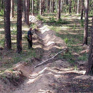 Более 90 % лесных пожаров в мире происходит по вине человека. И если от низовых пожаров лес можно спасти опахиванием, то против верхового такая мера уже не поможет
