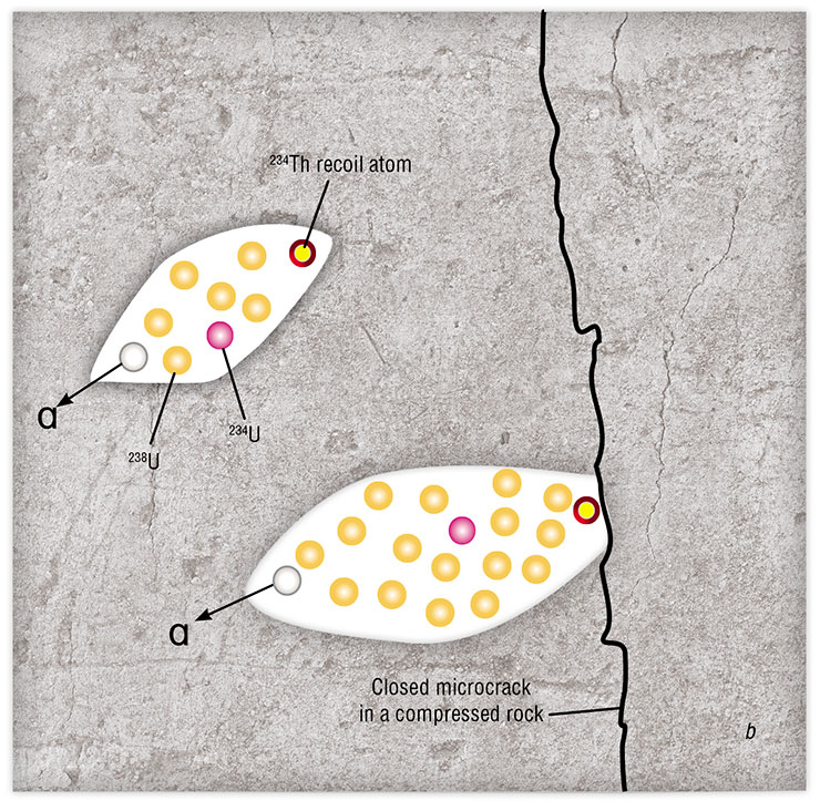 The effect of natural separation of uranium-234 and -238 isotopes (Cherdyntsev–Chalov effect) during their transition from solid bodies to liquids is explained by the opening and closing of microcracks in the rock. High-energy recoil atoms of thorium-234, which are formed during alpha decay of uranium-238, destroy the crystal lattice, creating cavities in it (bulk defects). Thorium-234 transforms, in turn, into uranium-234 as a result of beta decay. Thus, the uranium isotope ratio changes in the damaged areas, and an excess of uranium-234 appears. In the case of open microcracks, the uranium isotope ratio in circulating groundwater also changes in a similar fashion (a). This is not the case with closed microcracks (b)