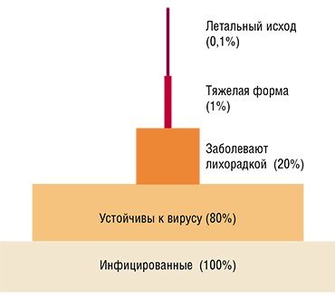 У большинства людей, инфицированных вирусом Западного Нила, болезнь себя не проявляет – лишь спустя время у них можно обнаружить антивирусные антитела в сыворотке крови. У пятой части инфицированных развивается лихорадка и только у одного из 100—150 заболевших – энцефалит или менингоэнцефалит. Смертность среди тяжело заболевших достигает 10 % и более.  Cхожая клиническая картина наблюдается и для вируса клещевого энцефалита
