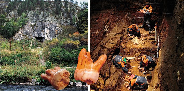 Left: Denisova Cave is a dependable repository of the ancient history of Altai. Photograph by M. Shunkov. On right: Novosibirsk archaeologists have been excavating Pleistocene sediments in Denisova Cave, the Altai Mountains, where man first appeared about 300,000 years ago. The third upper molar, a wisdom tooth of a Denisovan, discovered in the lithologic layer 11 within the sediments dating back to 50,000-40,000 BP Left: Denisova Cave is a dependable repository of the ancient history of Altai. Photograph by M. Shunkov. On right: Novosibirsk archaeologists have been excavating Pleistocene sediments in Denisova Cave, the Altai Mountains, where man first appeared about 300,000 years ago. The third upper molar, a wisdom tooth of a Denisovan, discovered in the lithologic layer 11 within the sediments dating back to 50,000-40,000 BP