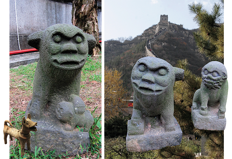 An adult dog and a puppy. The Zhanjiang Museum, the PRC