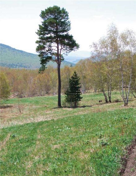 Вид на падь Суцзуктэ. Весна
