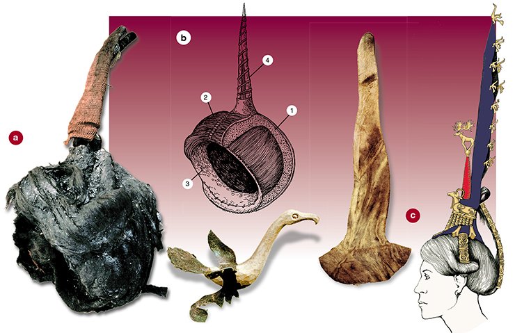 Female headdress (wig): a — general view; b — structure; 1 — form-shaping material; 2 — hair; 3 — felt; 4 — woolen laces; c — drawing of the wig; (b — drawn by E. Shumakova; c — reconstruction by D. Pozdnyakov). The high-peaked hat (84 cm long) was found between the wall of the log coffin and the burial chamber. Tomb 1, Ak-Alakha-3 burial site. (Museum of the Institute of Archaeology and Ethnography SB RAS) Female headdress (wig): a — general view; b — structure; 1 — form-shaping material; 2 — hair; 3 — felt; 4 — woolen laces; c — drawing of the wig; (b — drawn by E. Shumakova; c — reconstruction by D. Pozdnyakov). The high-peaked hat (84 cm long) was found between the wall of the log coffin and the burial chamber. Tomb 1, Ak-Alakha-3 burial site. (Museum of the Institute of Archaeology and Ethnography SB RAS)