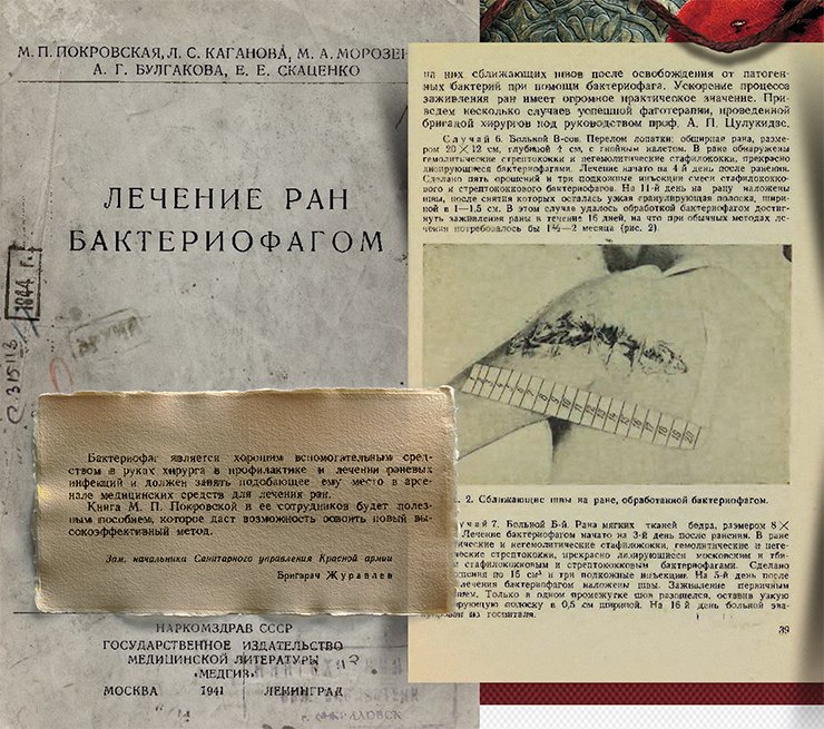 This unique publication summarizes the experience in the use of bacteriophages to treat wounds and purulent infections in the military field conditions during the Russian–Finnish war of 1939–1940. Photo: the title page, the preface and an illustration from the book Treatment of Wounds with Bacteriophage, Moscow: USSR People’s Commissariat of Public Health (Narkomzdrav), 1941 This unique publication summarizes the experience in the use of bacteriophages to treat wounds and purulent infections in the military field conditions during the Russian–Finnish war of 1939–1940. Photo: the title page, the preface and an illustration from the book Treatment of Wounds with Bacteriophage, Moscow: USSR People’s Commissariat of Public Health (Narkomzdrav), 1941
