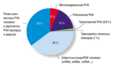 В крови циркулирует огромное множество гормонов, ростовых факторов, внеклеточных нуклеиновых кислот, антител и других молекул, совокупность которых создает высокоупорядоченную информационную среду. К малоизученным компонентам крови относятся циркулирующие в ней тысячи молекул микроРНК, способные управлять активностью генов. Вверху – циркулирующие в крови людей РНК-последовательности разного происхождения и с разными функциями, оцененные методом массового параллельного секвенирования образцов плазмы крови здоровых и больных людей. По: (Рыкова, Запорожченко, Лактионов, 2012) В крови циркулирует огромное множество гормонов, ростовых факторов, внеклеточных нуклеиновых кислот, антител и других молекул, совокупность которых создает высокоупорядоченную информационную среду. К малоизученным компонентам крови относятся циркулирующие в ней тысячи молекул микроРНК, способные управлять активностью генов. Вверху – циркулирующие в крови людей РНК-последовательности разного происхождения и с разными функциями, оцененные методом массового параллельного секвенирования образцов плазмы крови здоровых и больных людей. По: (Рыкова, Запорожченко, Лактионов, 2012)