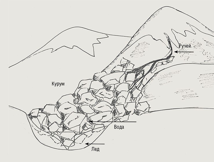 Влажные курумы – каменные россыпи с текущей водой – особенно привлекательны для многих петрофильных беспозвоночных. Рис. Л. Залиш (ИПА СО РАН, Новосибирск)