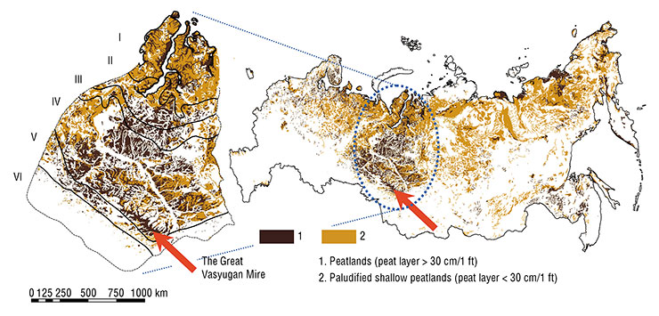Peatlands, including shallow peatlands, in the Western Siberian Plain (right; reproduced with the permission of the RAS Forestry Institute). Left – distribution and zonation of peatlands and rivers in the Western Siberian Plain: I – polygon mires, II – flat-mound palsa mires, III – high-mound palsa mires, IV – raised bogs, V – flat eutrophic and mesotrophic mires, VI – reed and sedge fens and saltmarshes. Adapted from: (Liss et al. 2001; Kirpotin et al., 2021) Peatlands, including shallow peatlands, in the Western Siberian Plain (right; reproduced with the permission of the RAS Forestry Institute). Left – distribution and zonation of peatlands and rivers in the Western Siberian Plain: I – polygon mires, II – flat-mound palsa mires, III – high-mound palsa mires, IV – raised bogs, V – flat eutrophic and mesotrophic mires, VI – reed and sedge fens and saltmarshes. Adapted from: (Liss et al. 2001; Kirpotin et al., 2021)