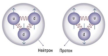 Нуклоны – компоненты ядра любого атома – обладают внутренней структурой. Каждый состоит из трех связанных кварков u- и d- типов 