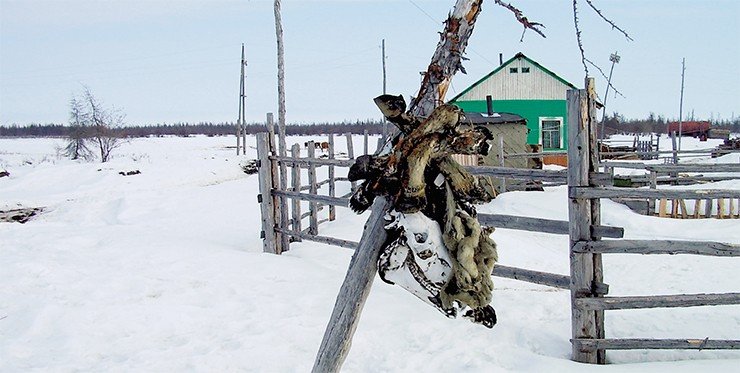 Саха считают, что душа покойника отправляется в загробный мир верхом на коне. Следуя старинному обычаю, уходящему корнями в древнетюркскую эпоху, жители с. Алеко-Кюель до сих пор забивают на похоронах жертвенных лошадей, а их головы и копыта вешают на деревьях около кладбища. Головы лошадей ориентированы на восход солнца, в сторону местожительства светлых божеств айыы. Дерево, в данном случае лиственница, выступает связующим звеном между мирами, «дорогой» в потусторонний мир