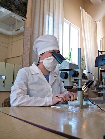 На участке обработки монокристаллов ДТГ-4 производится первичная разбраковка заготовок детекторов по чувствительности, геометрическим размерам, массе и качеству поверхности