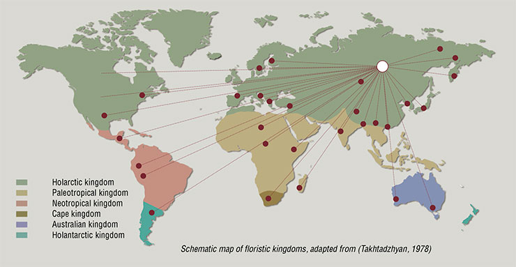 Specialists of the Basnins’ botanic garden successfully cultivated plants from all the floristic kingdoms and regions of the Earth. Adapted from: (Kuzevanov, 2011)