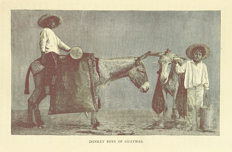 Рисунок из кн. F. A. Ober «Travels in Mexico and Life among the Mexicans ... With 190 illustrations, etc» (London, 1890). British Library Рисунок из кн. F. A. Ober «Travels in Mexico and Life among the Mexicans ... With 190 illustrations, etc» (London, 1890). British Library