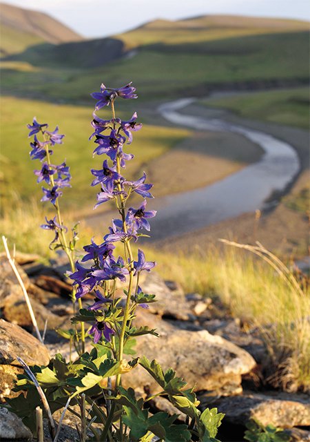 The local nature is alive only for a few months a year